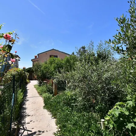 Petra Apartamento *